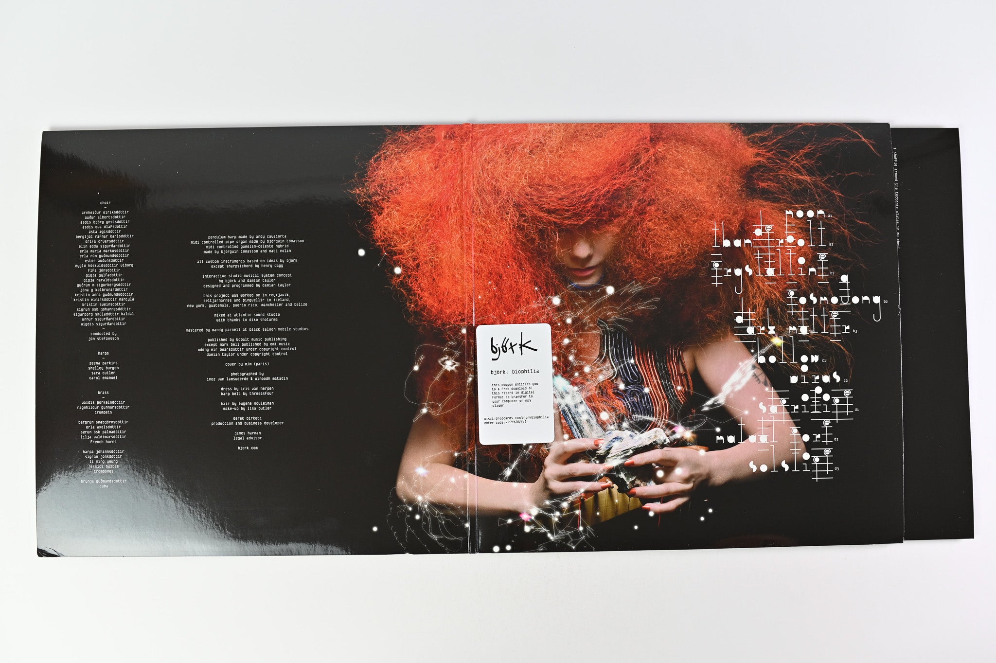 Björk - Biophilia on One Little Indian