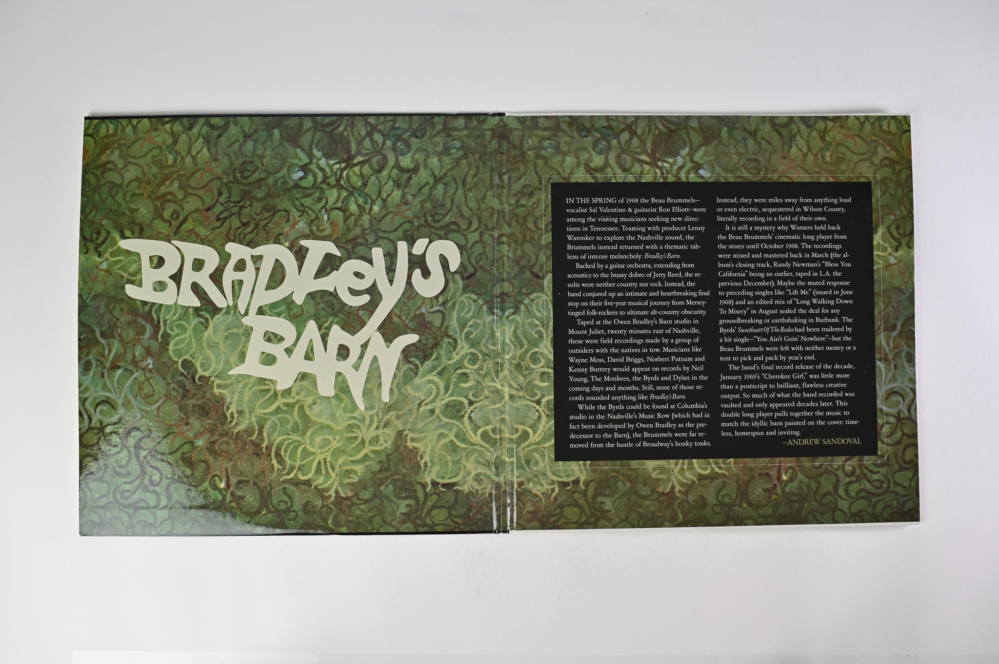 The Beau Brummels - Bradley's Barn on Run Out Groove Ltd RSD 2018 Multi Colored Vinyl Reissue
