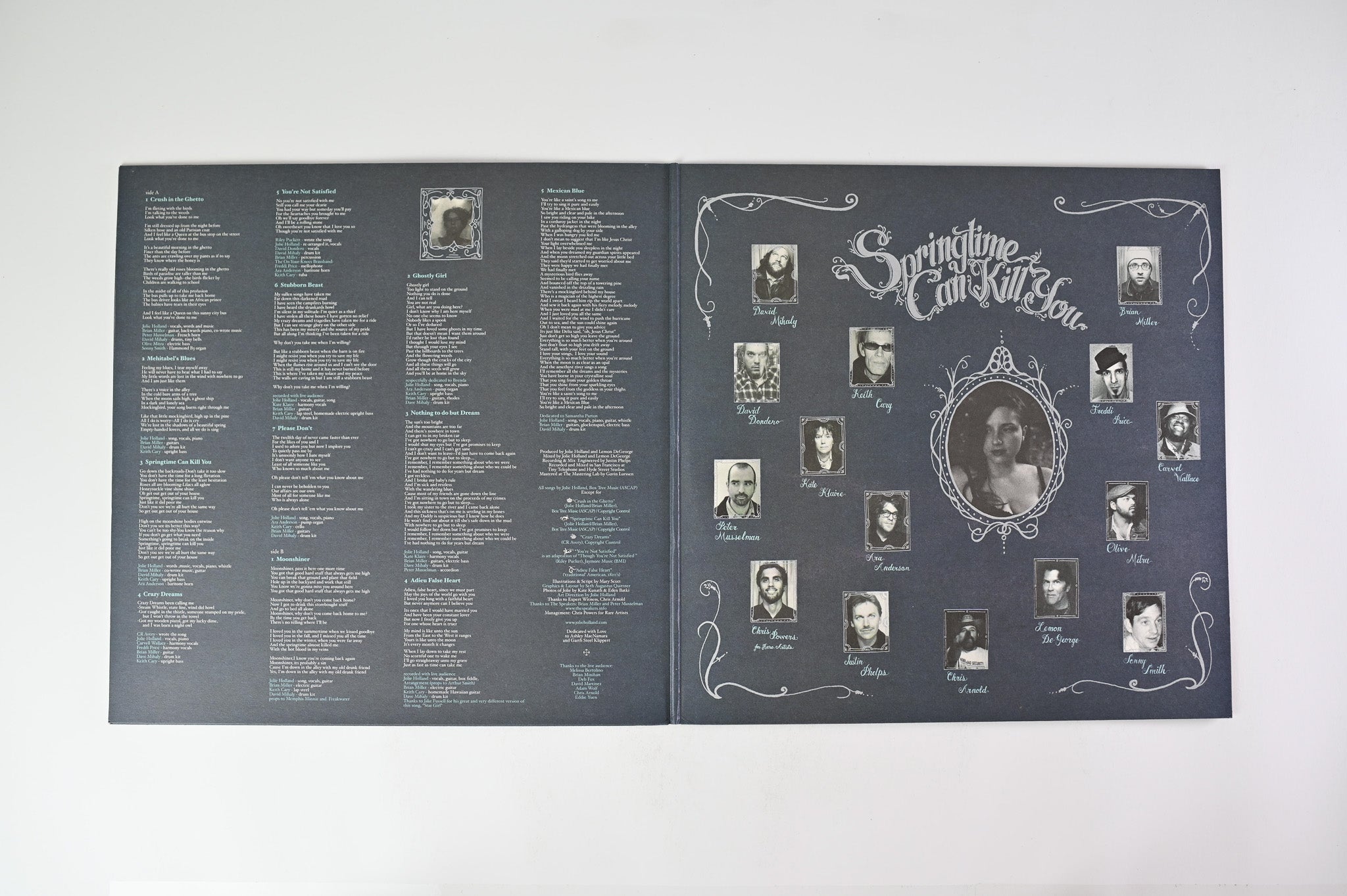 Jolie Holland - Springtime Can Kill You on DBK Works