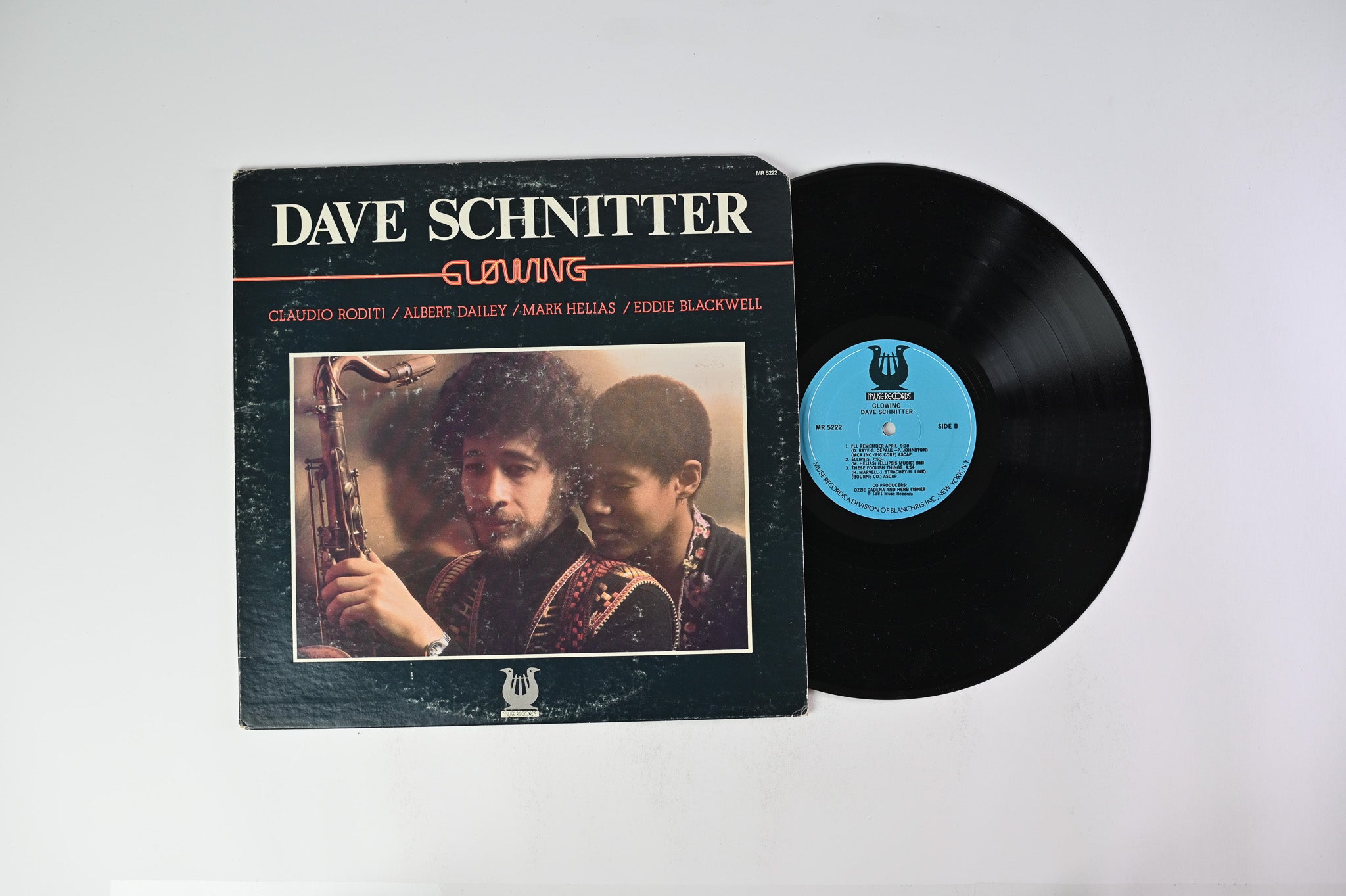 Dave Schnitter - Glowing on Muse Records