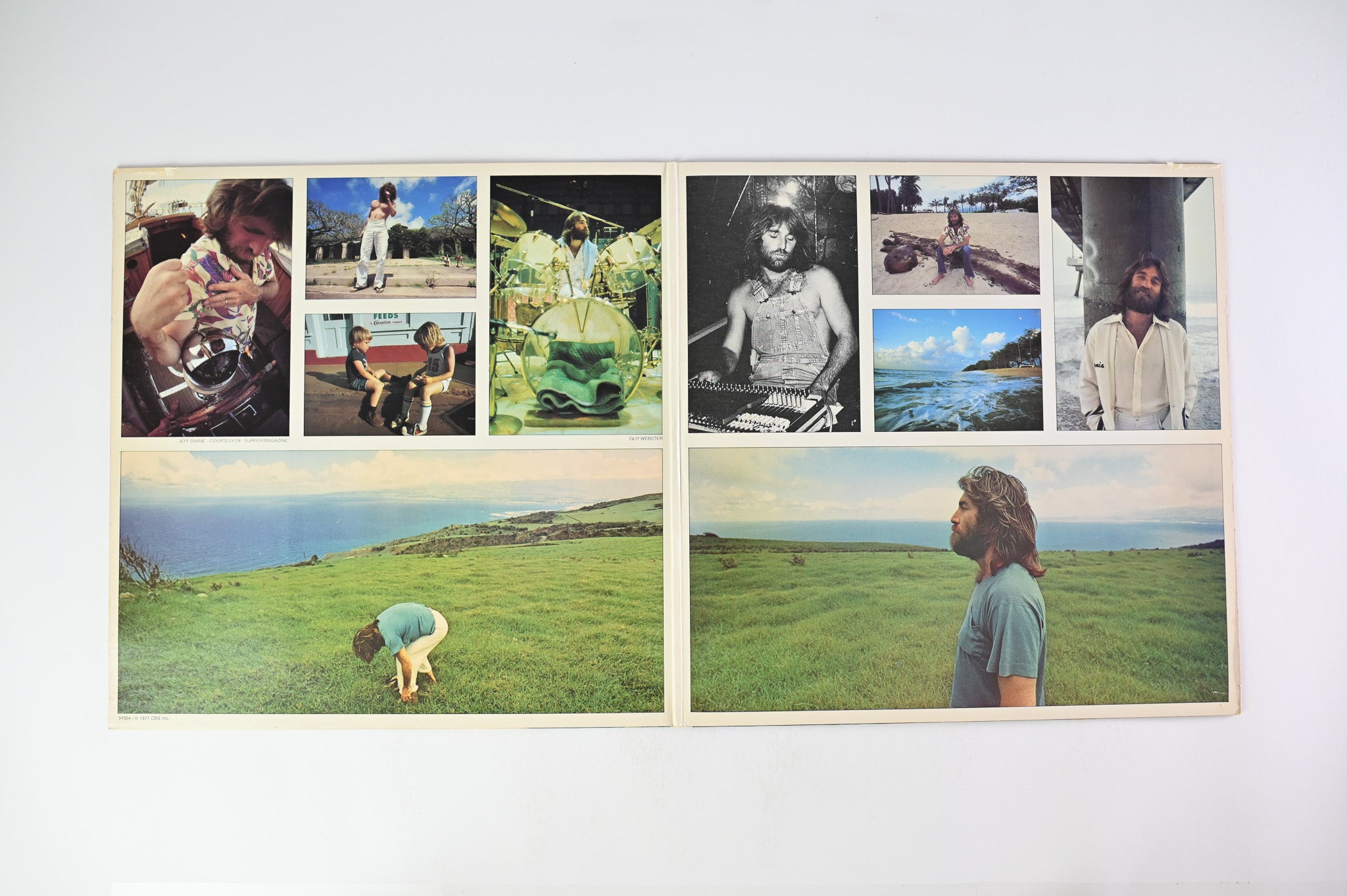 Dennis Wilson - Pacific Ocean Blue on Caribou Records