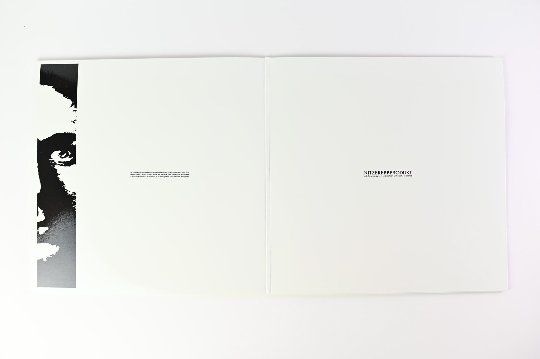 Nitzer Ebb - Belief on Pylon RSD Ltd Clear Reissue