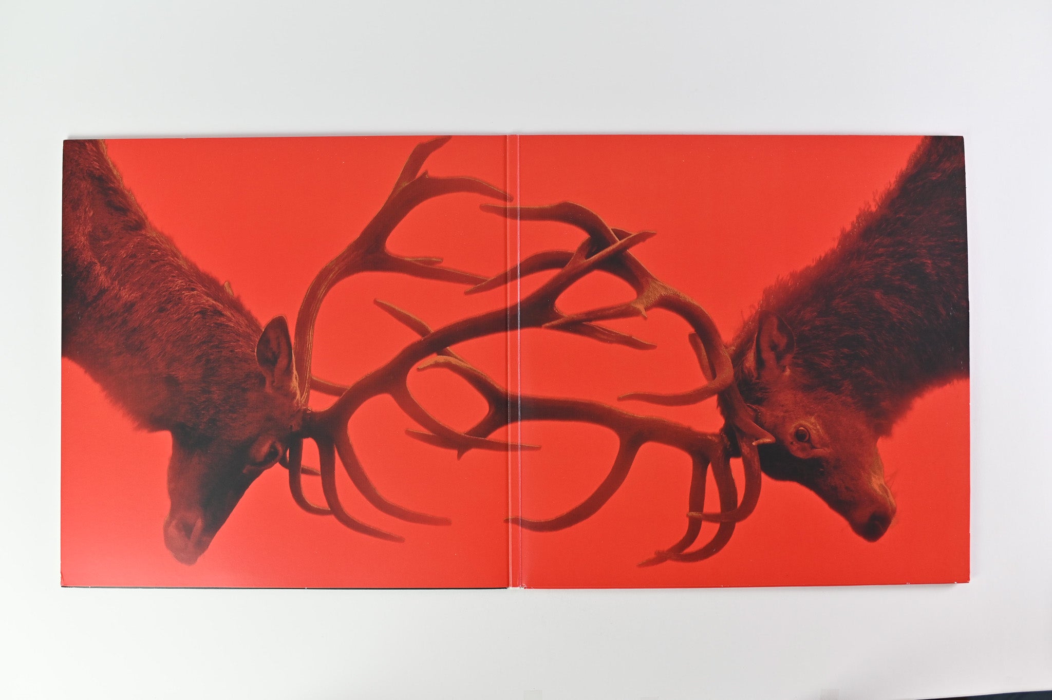 Fontaines D.C. - Skinty Fia on Partisan Deluxe Edition