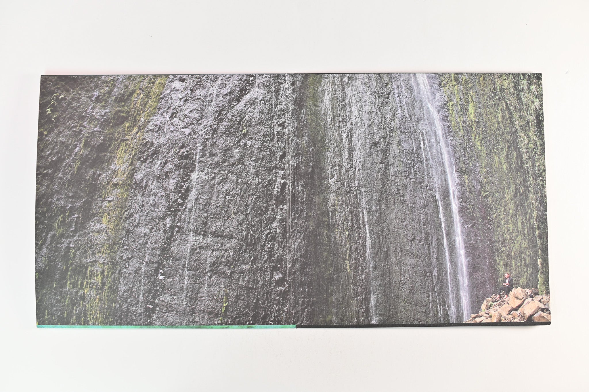 Eddie Vedder - Ukulele Songs on Monkewrench