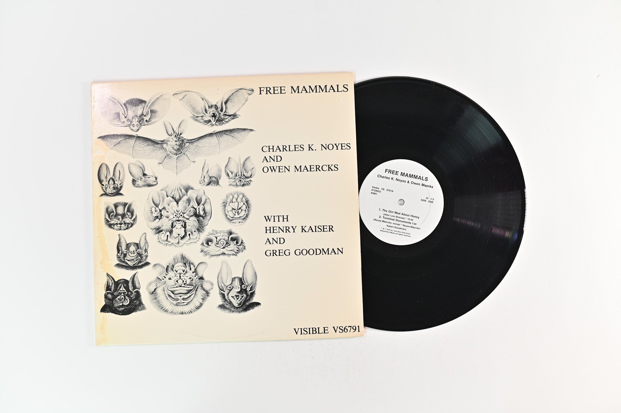 Charles K. Noyes - Free Mammals on Visible