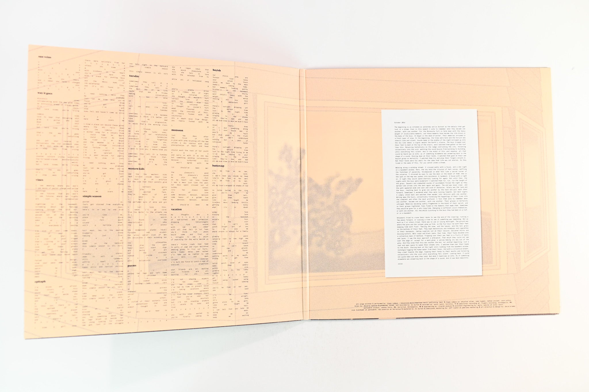 Hippo Campus - Landmark on Grand Jury Ltd Blue Vinyl Alternate Cover