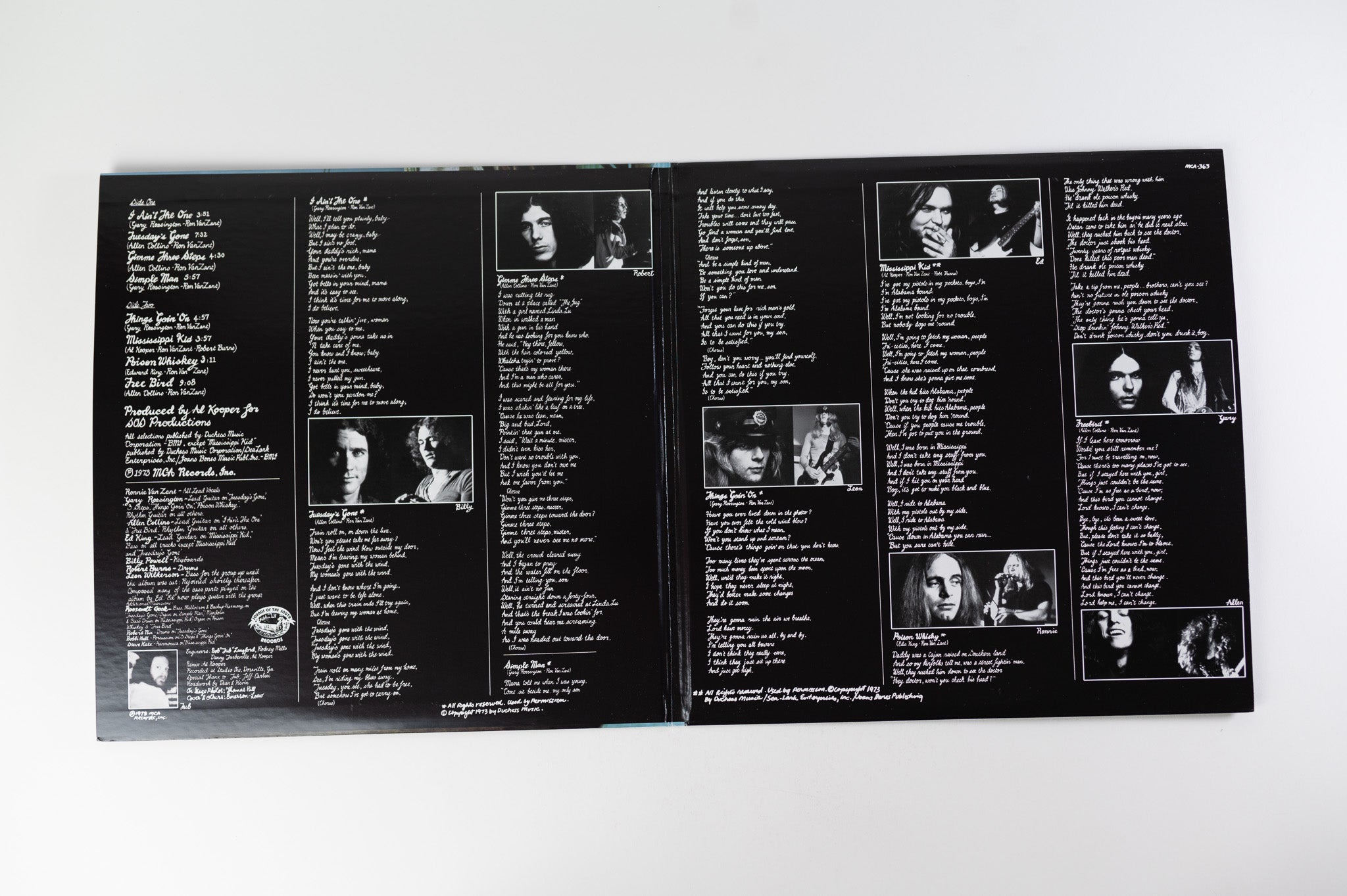 Lynyrd Skynyrd - (pronounced'lĕh-'nérd'skin-'nérd) on Analogue Productions Ltd 45 RPM 180 Gram Reissue