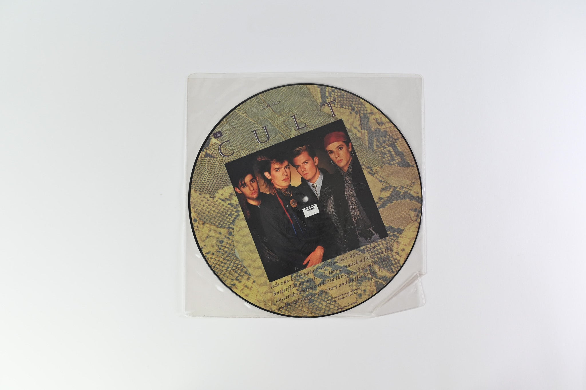 The Cult - Dreamtime Picture Disc on Beggars Banquet