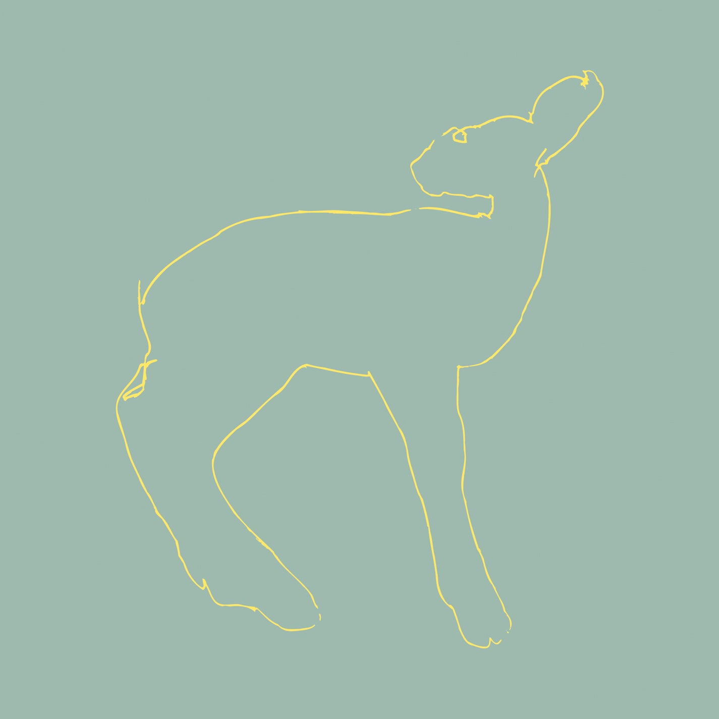 Songs: Ohia - Hecla & Griper (Reissue)