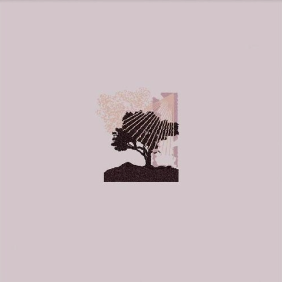 Land of Talk - Performances (Ecomix Vinyl)