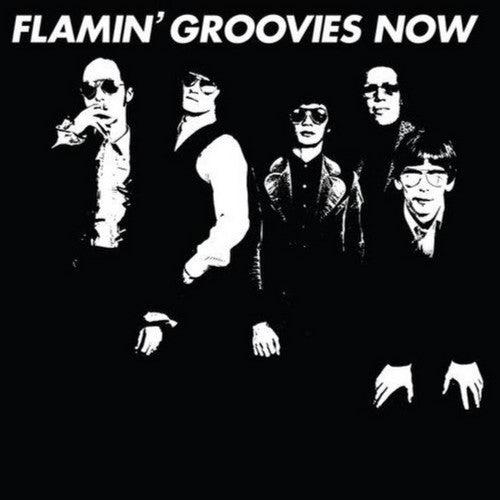 Flamin' Groovies - Now