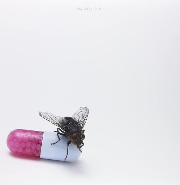 Red Hot Chili Peppers - I'm With You