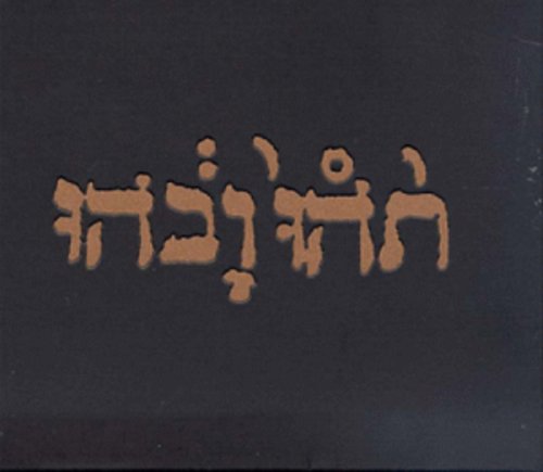 Godspeed You Black Emperor! - Slow Riot For New Zero Kanada E.P.