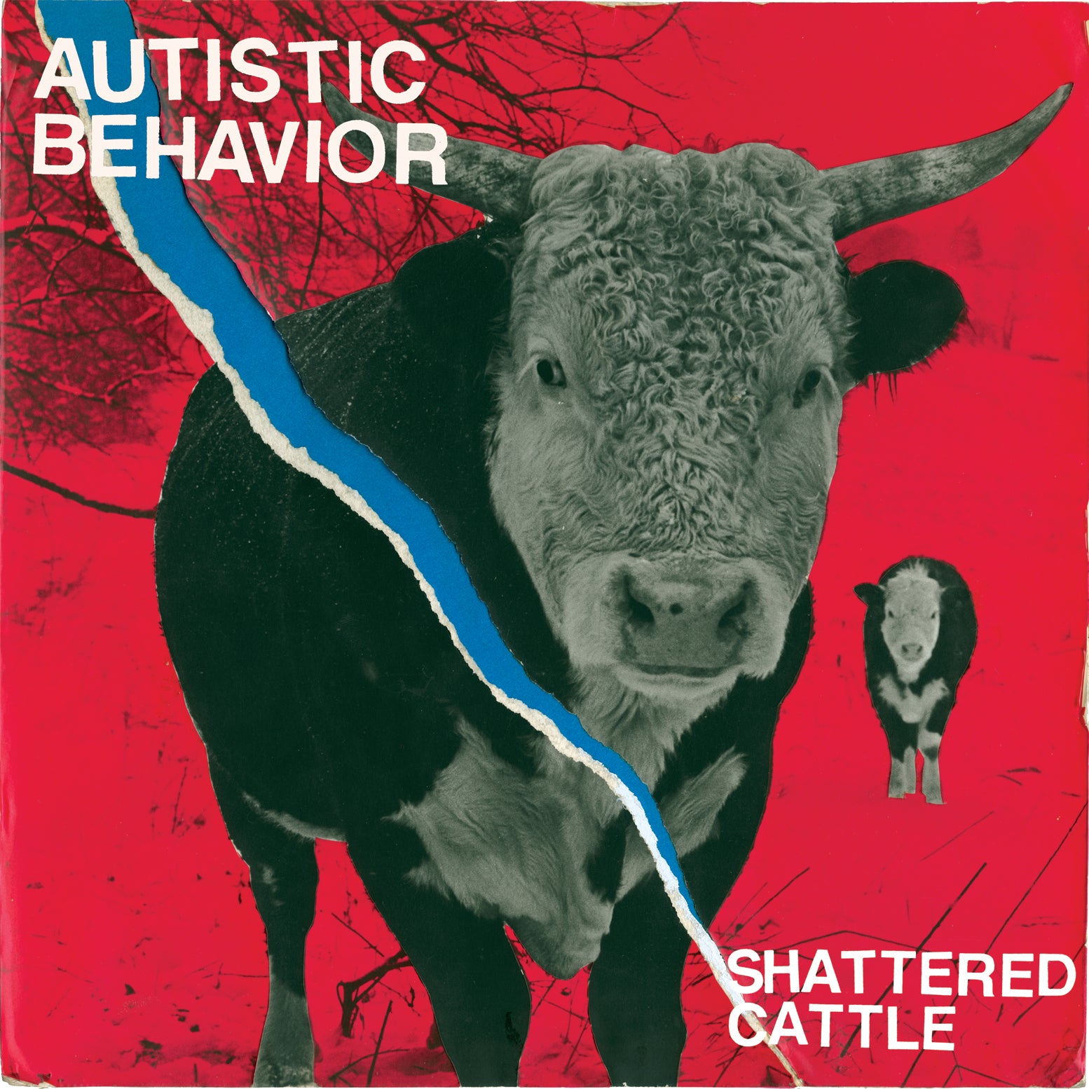 Autistic Behavior - Shattered Cattle