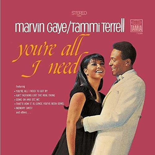 Marvin Gaye / Tammi Terrell - You're All I Need