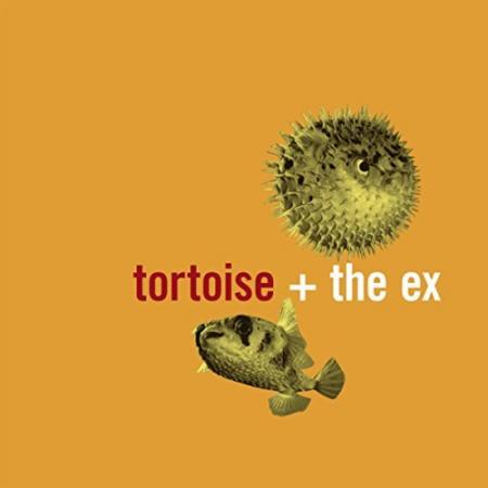 Tortoise & The Ex - In The Fishtank 5
