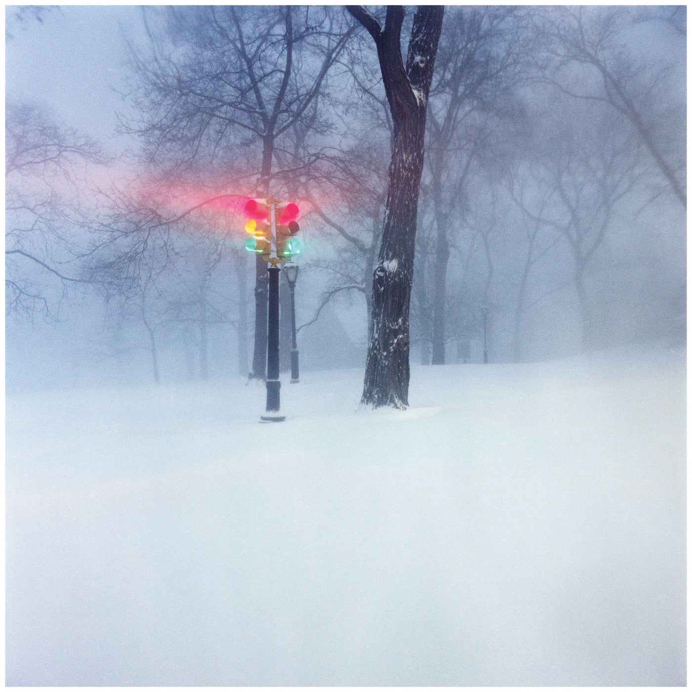 Express Ring - Fixed Rope