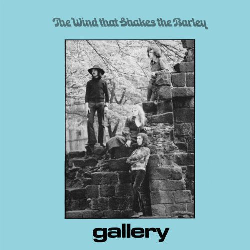 Gallery - The Wind That Shakes The Barley