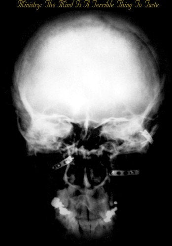 Ministry - The Mind Is A Terrible Thing To Taste