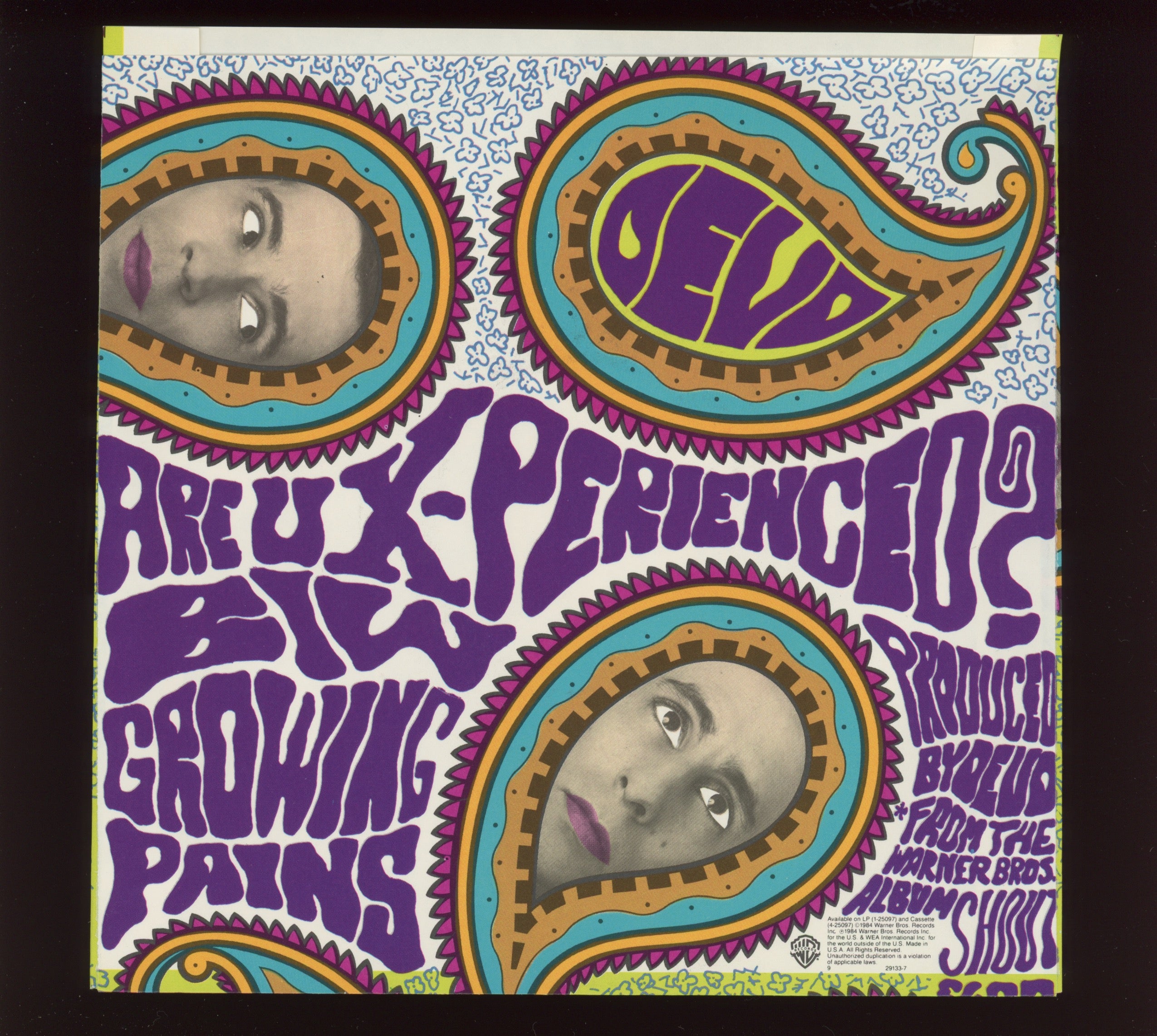 Devo - Are You Experienced? on WB With Picture Sleeve