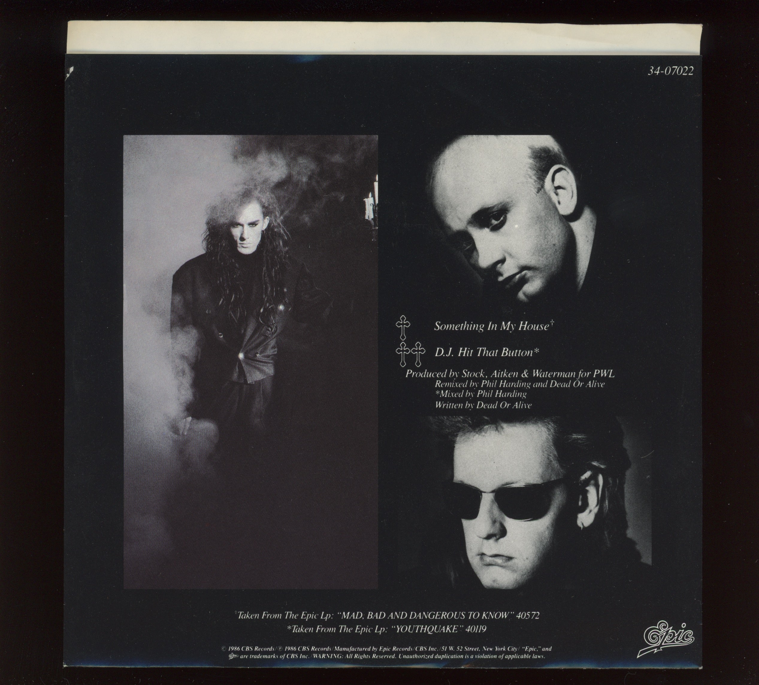 Dead Or Alive - Something In My House on Epic With Picture Sleeve