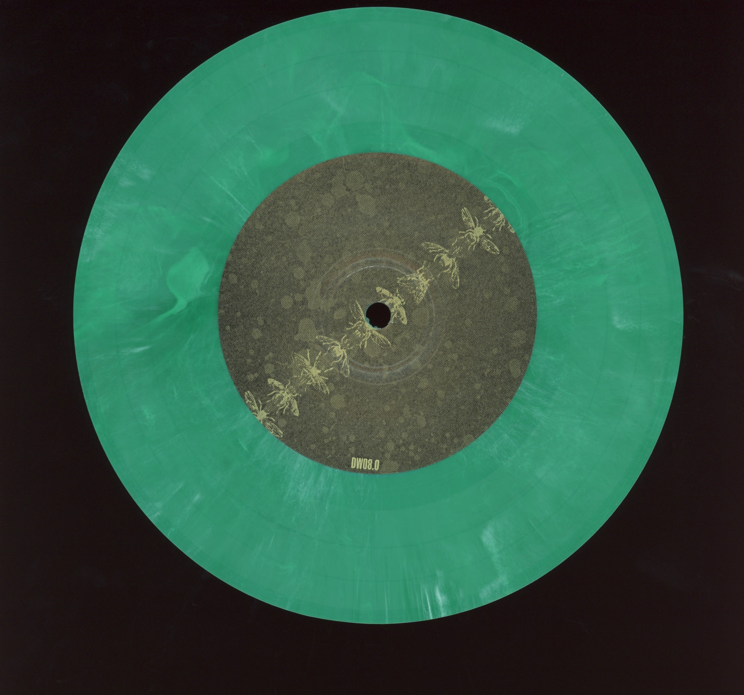 A Life Once Lost - The Fourth Plague: Flies on Deathwish Green Marble 7"