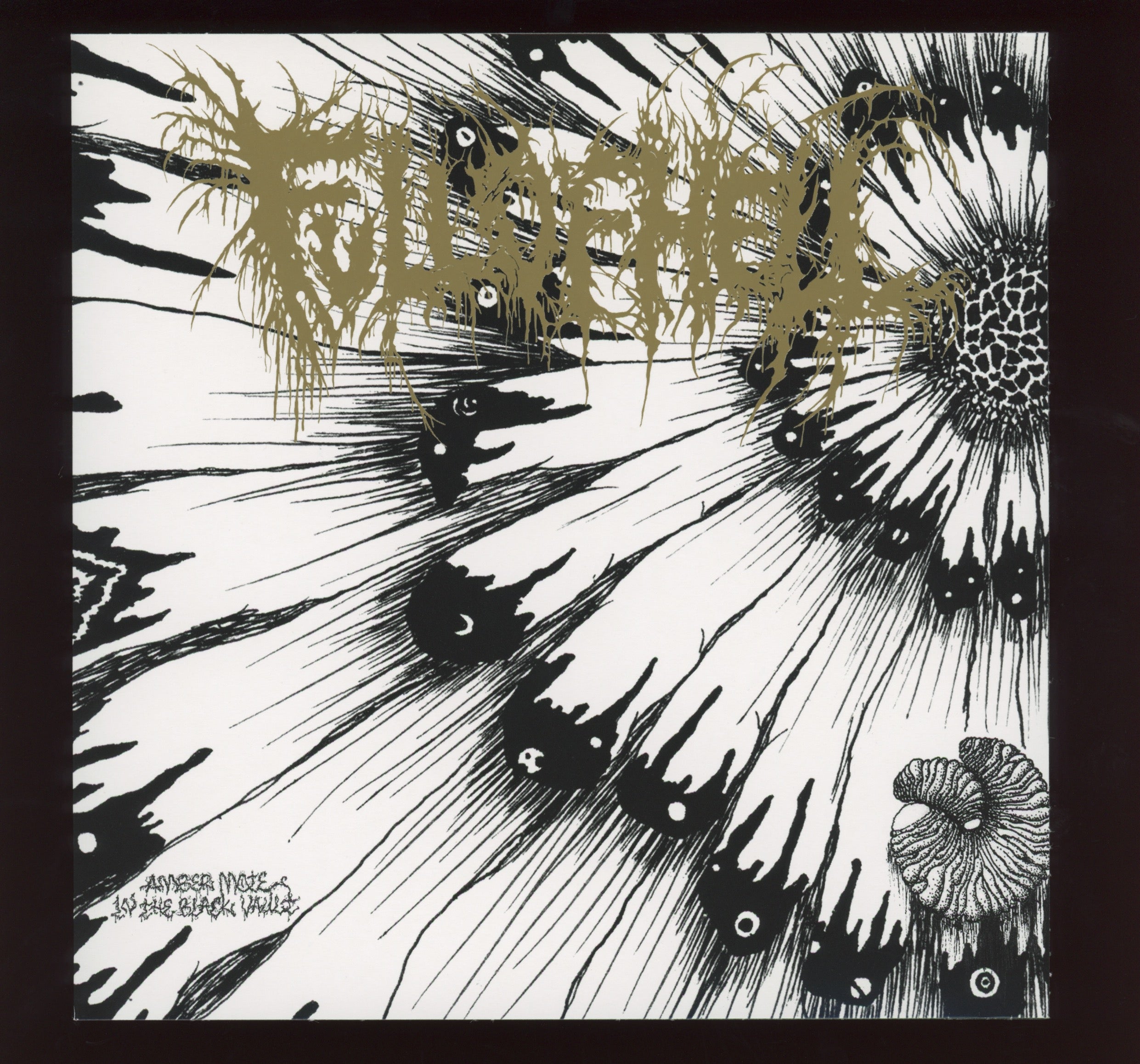 Full Of Hell - Amber Mote In The Black Vault on Closed Casket Activities Gold Metallic 7" Reissue