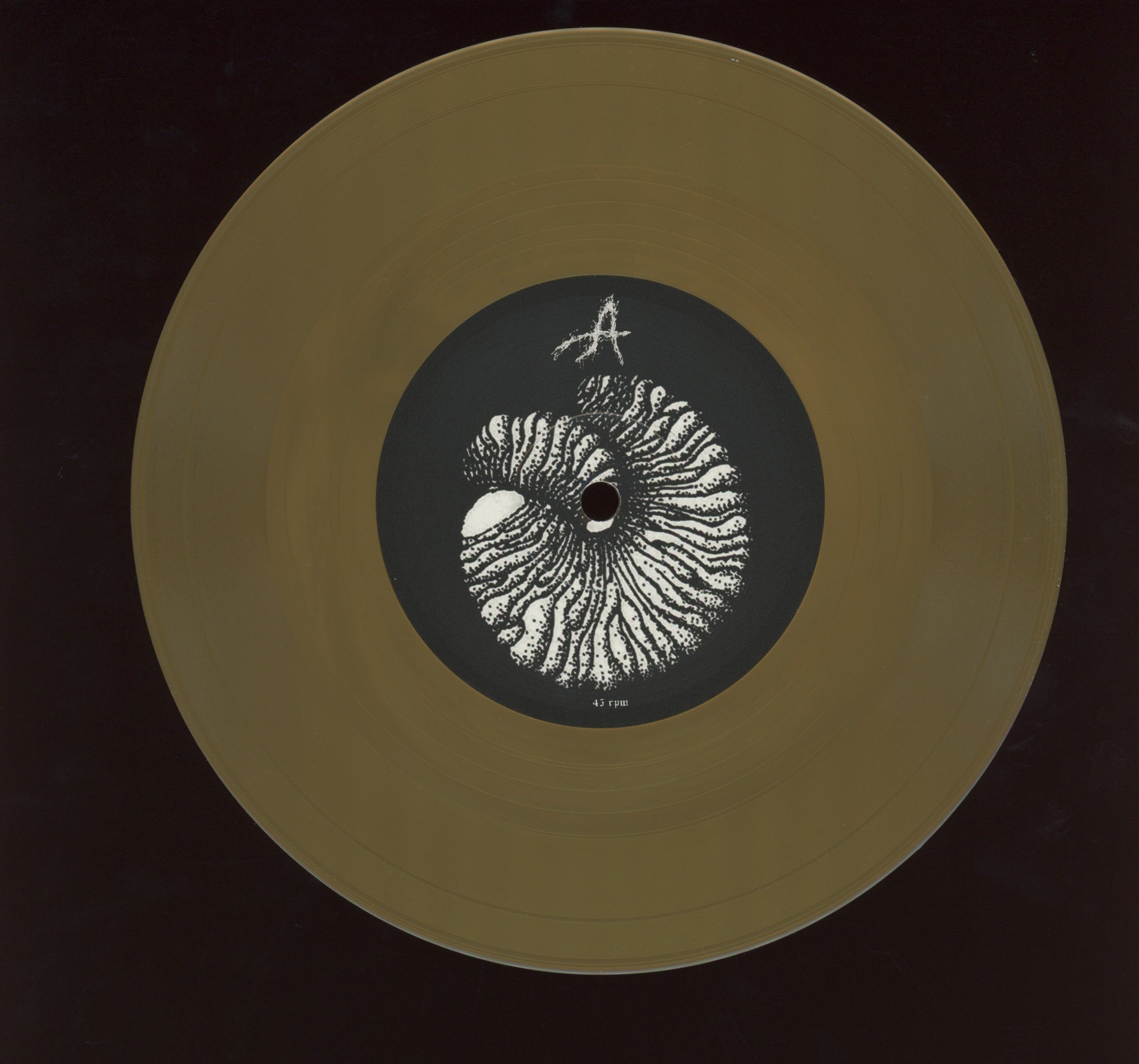 Full Of Hell - Amber Mote In The Black Vault on Closed Casket Activities Gold Metallic 7" Reissue