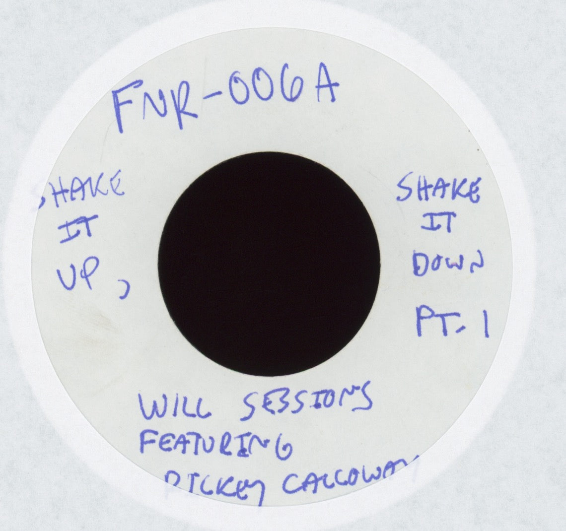 Will Sessions - Shake It Up, Shake It Down on Funk Night Records Promo