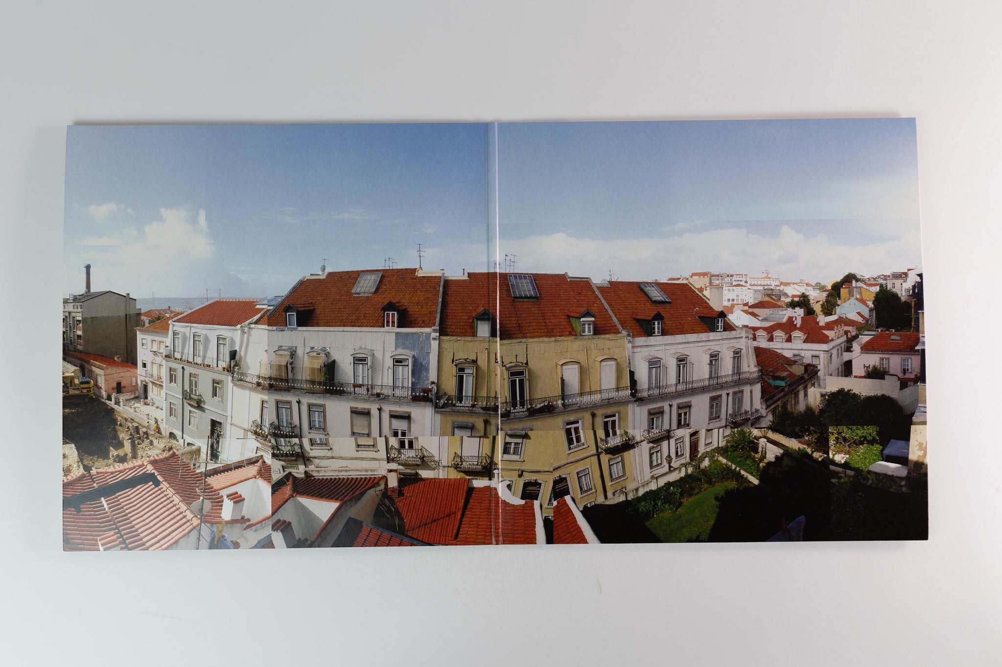 Panda Bear - Person Pitch on My Animal Home Vinyl Me Please Blue / White Reissue