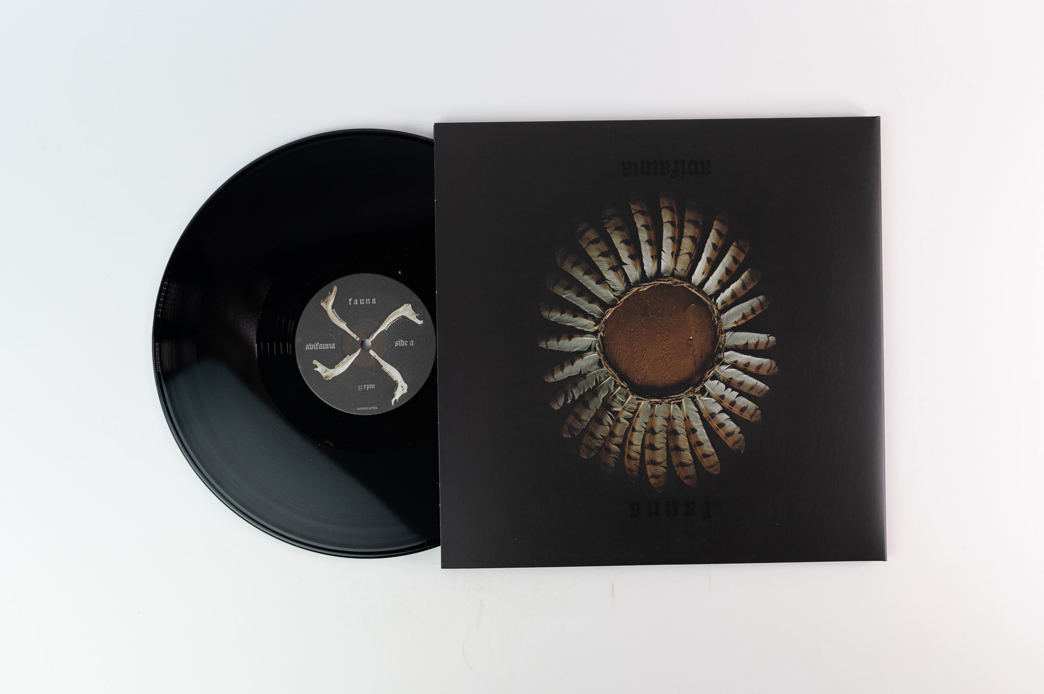 Fauna - Avifauna on Pesanta