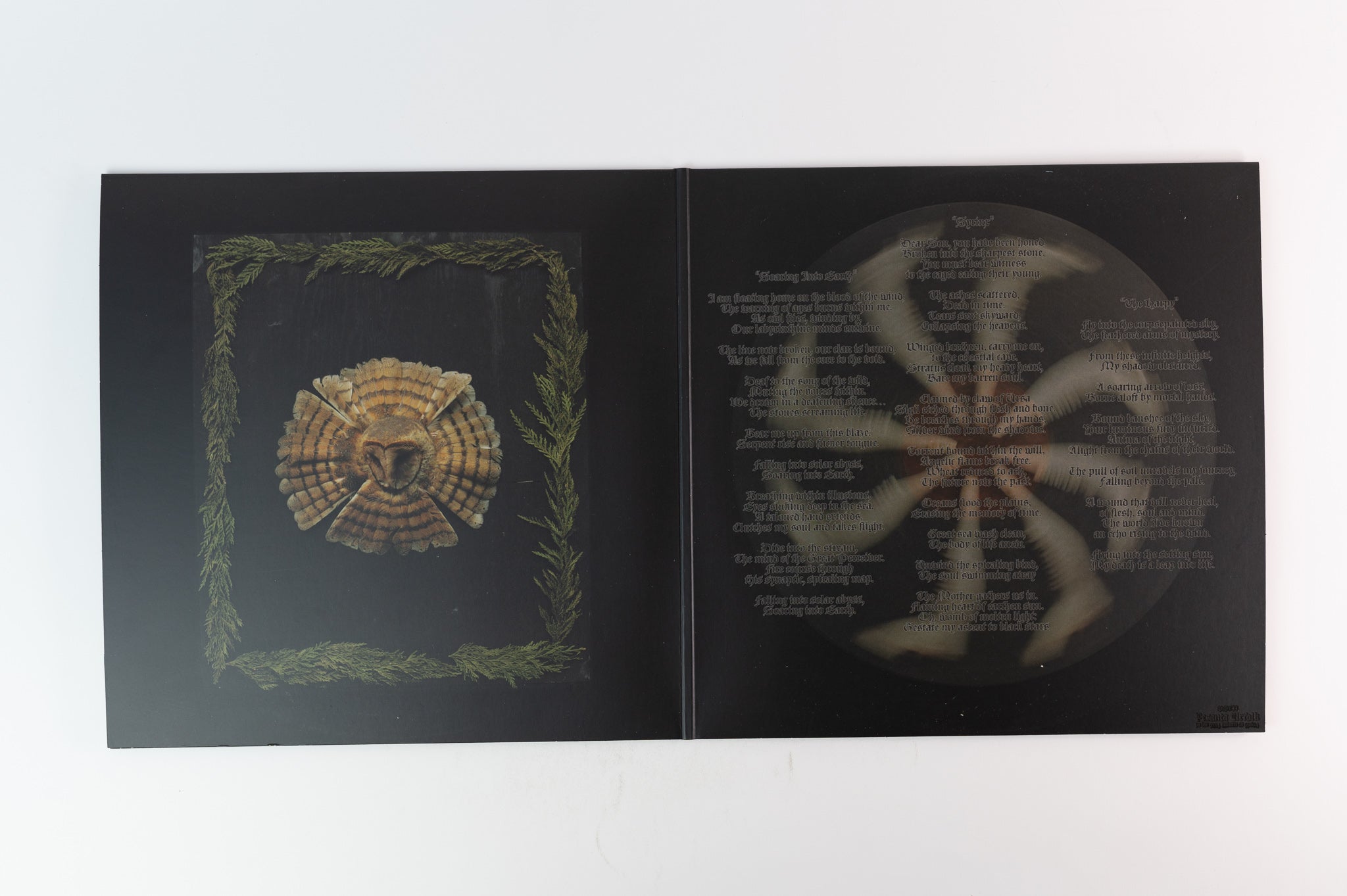 Fauna - Avifauna on Pesanta