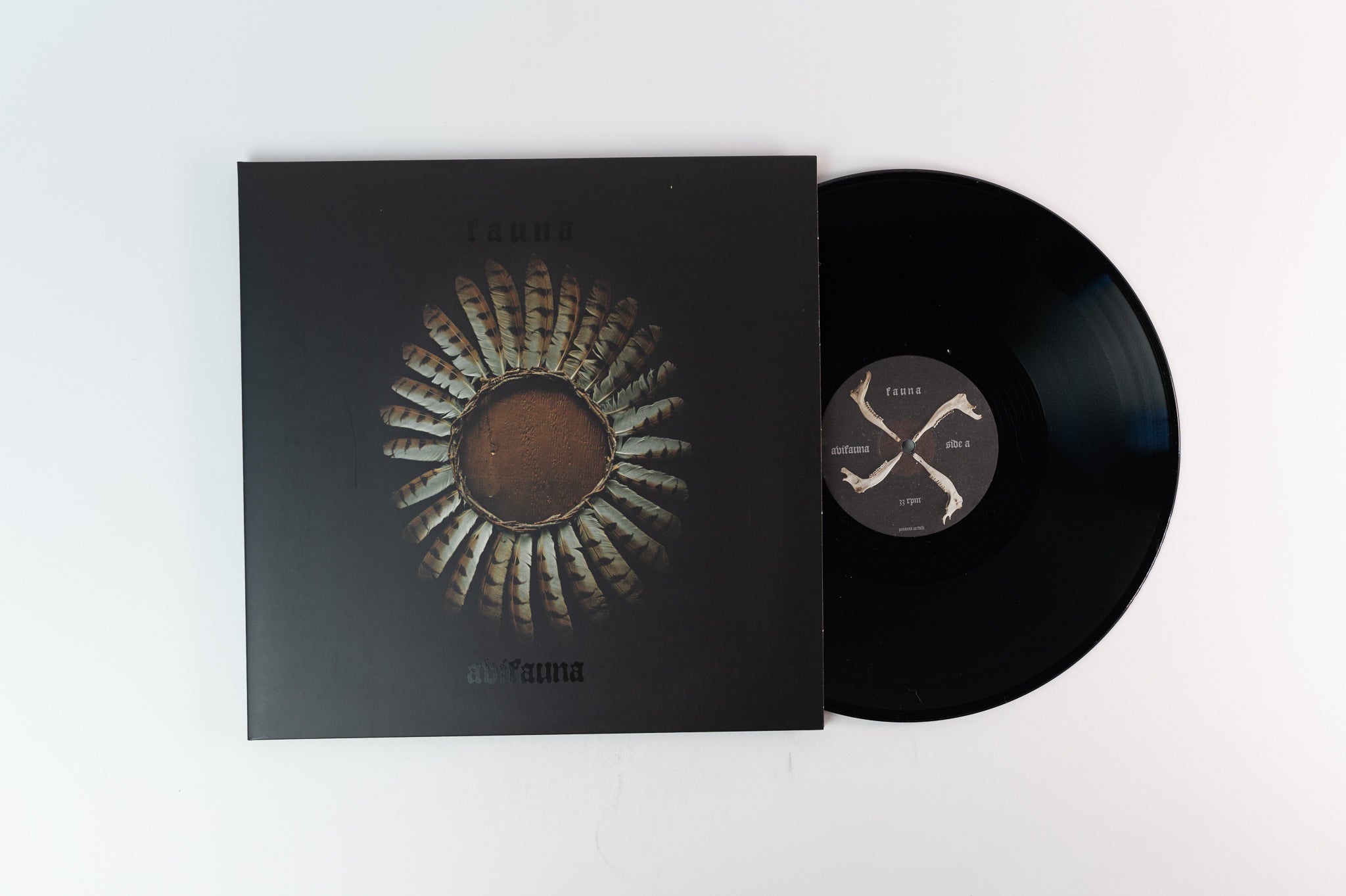 Fauna - Avifauna on Pesanta