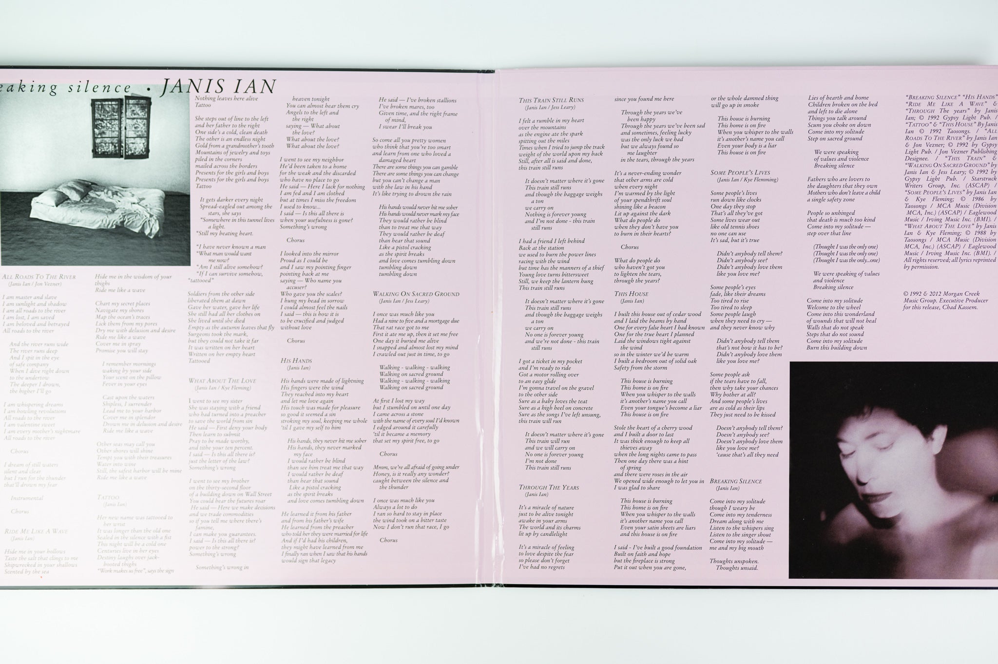 Janis Ian - Breaking Silence on Analogue Productions 200 Gram