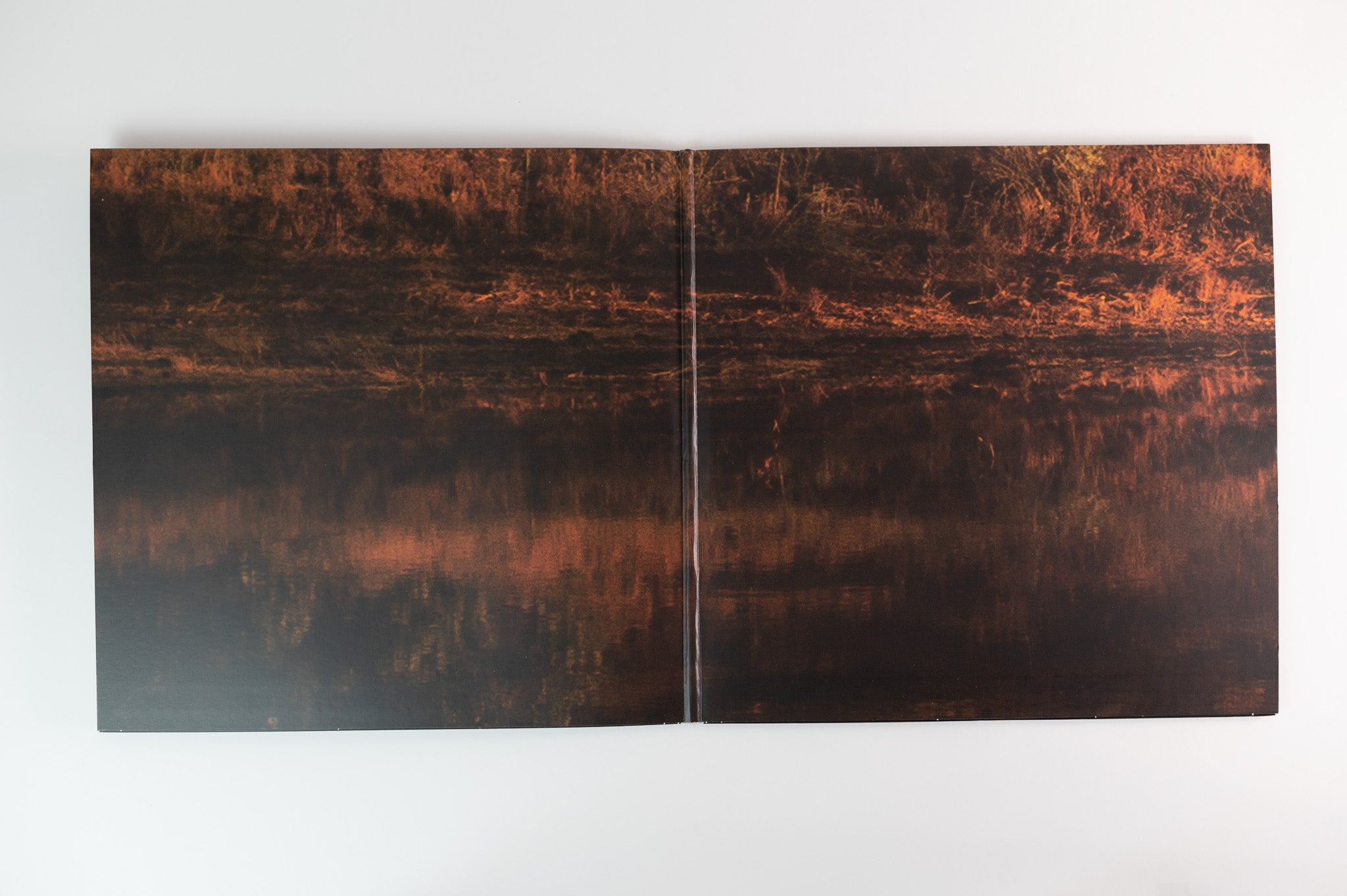 Post Malone - Hollywood's Bleeding on Republic Records - Pink Vinyl