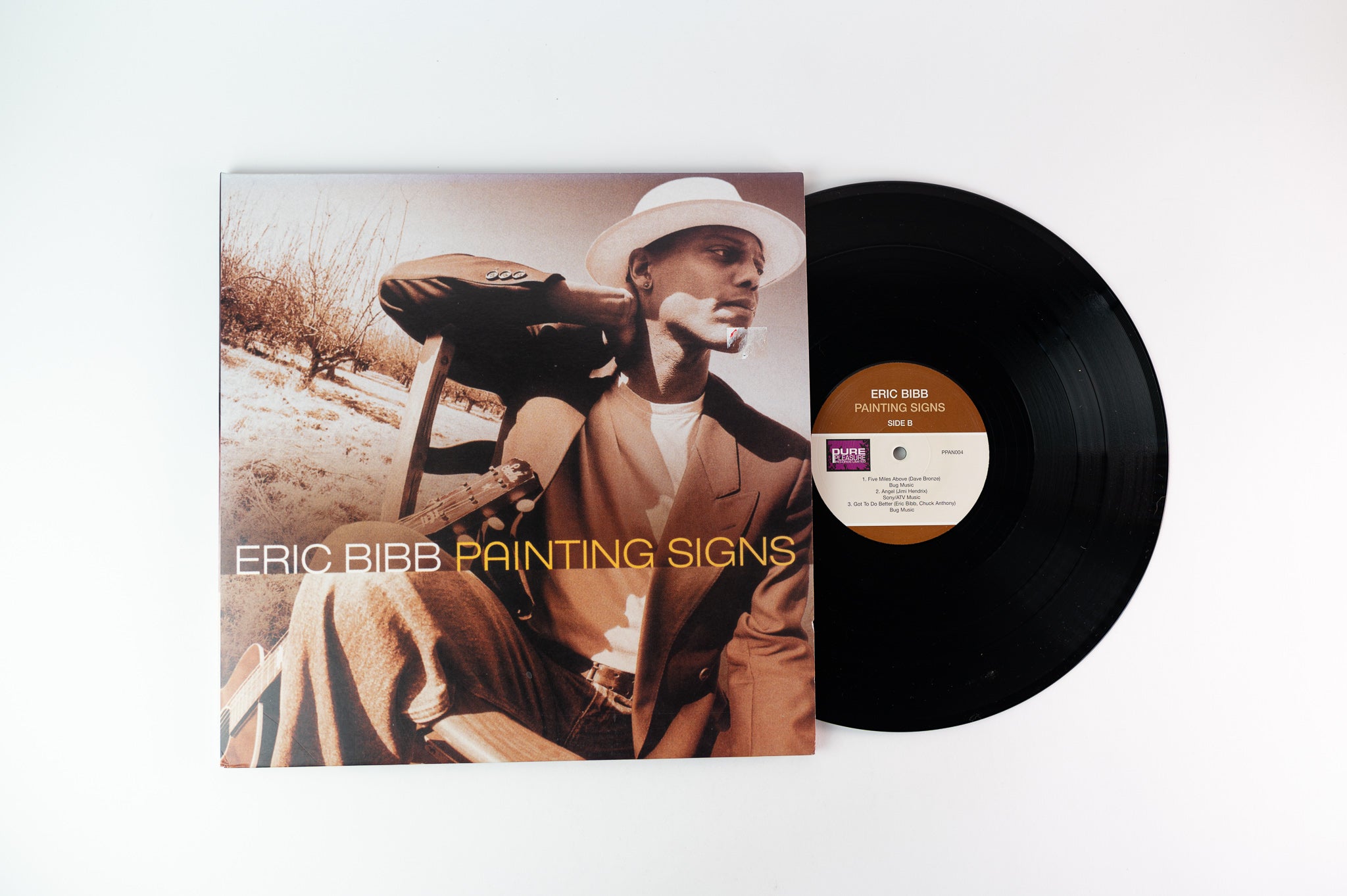 Eric Bibb - Painting Signs on Pure Pleasure German Pressing