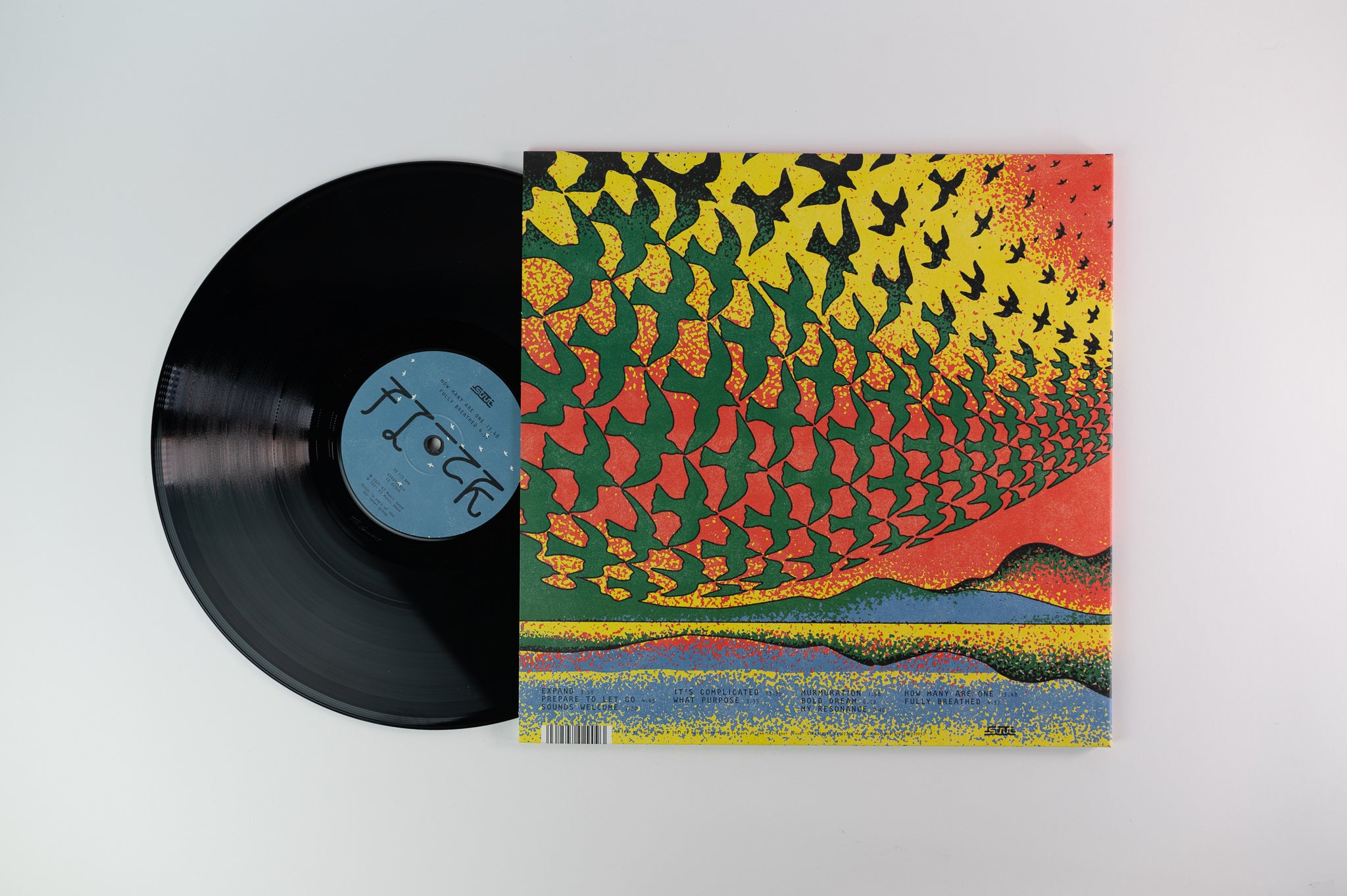 Flock - Flock on Strut