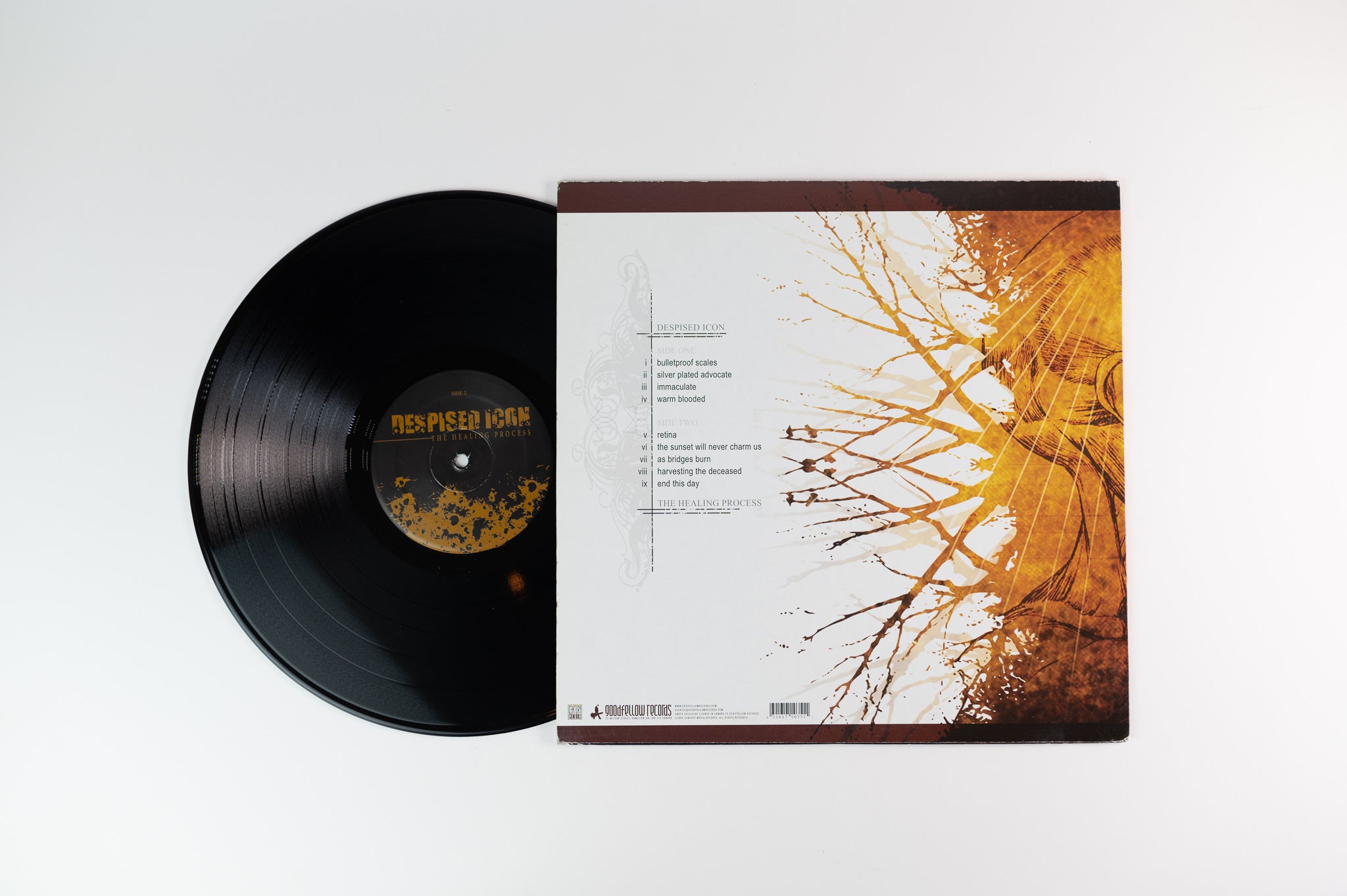 Despised Icon - The Healing Process on Goodfellow