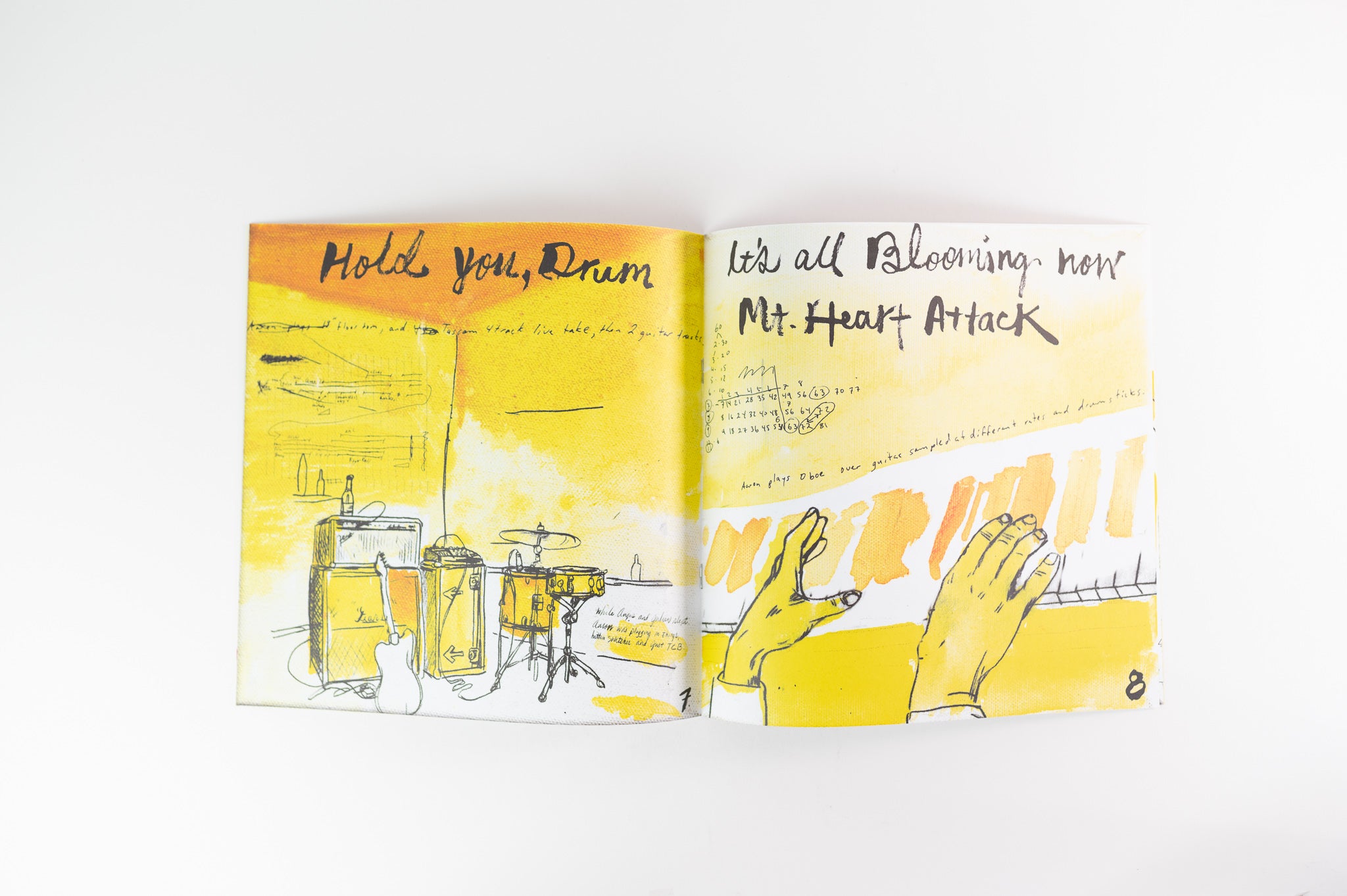 Liars - Drum's Not Dead on Mute 180 Gram Reissue