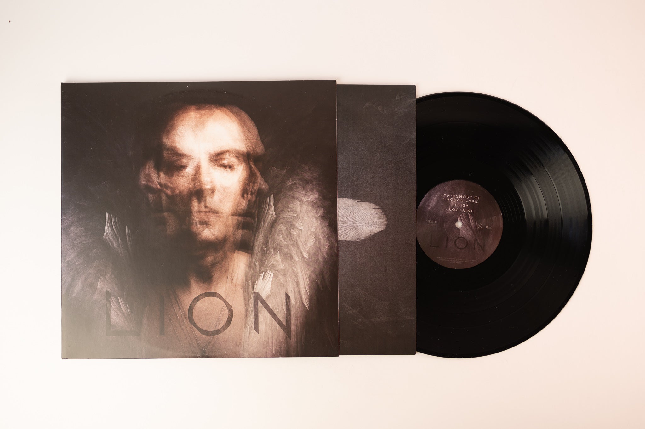 Peter Murphy - Lion
