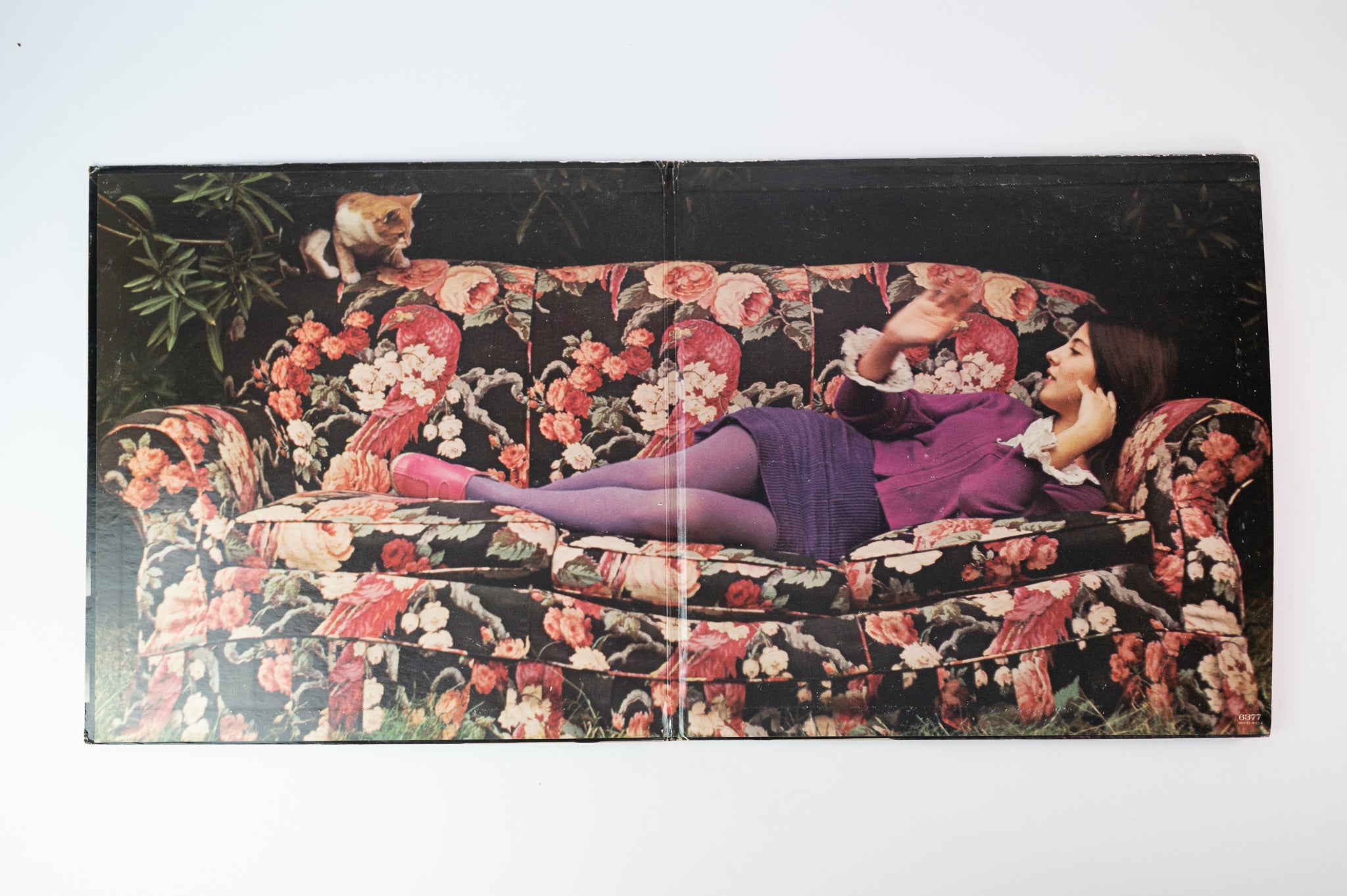 Essra Mohawk - Primordial Lovers on Reprise - Promo