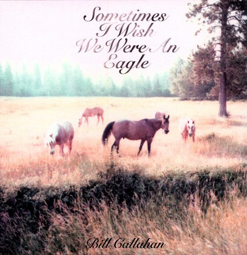 Bill Callahan - Sometimes I Wish We Were An Eagle