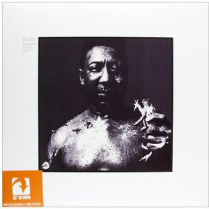 Muddy Waters - After The Rain