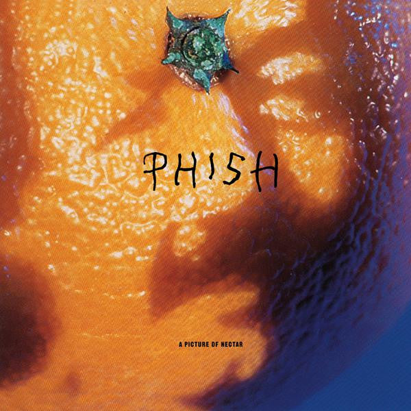 Phish - A Picture Of Nectar