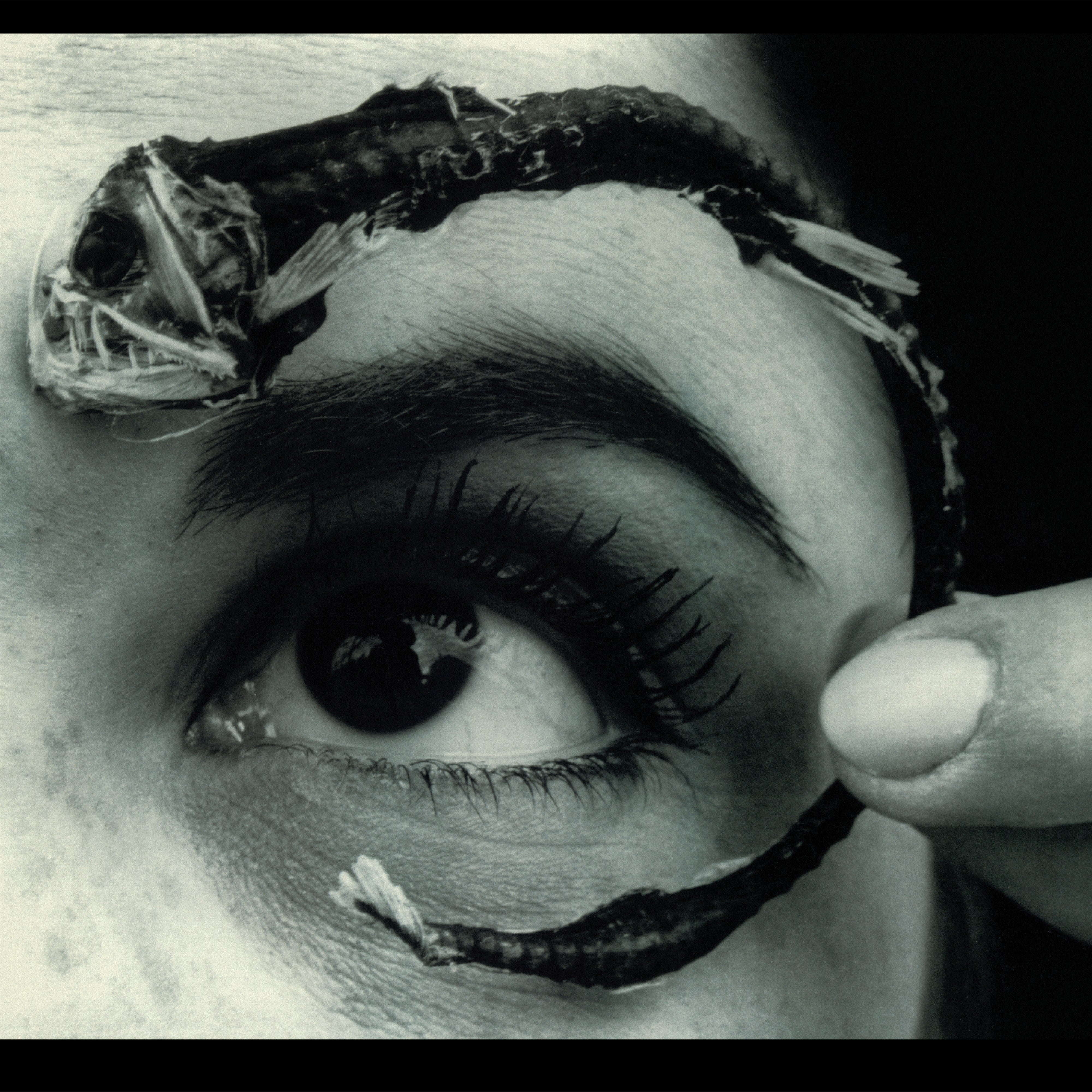 [PRE-ORDER] Mr. Bungle - Disco Volante [ROCKtober 2025] [2-lp Translucent Light Blue Vinyl] [Release Date: 10/10/2025]