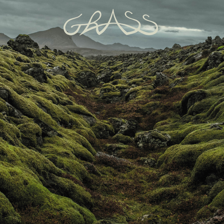 Grass - Grass