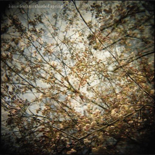 [DAMAGED] Horse Feathers - Thistled Spring