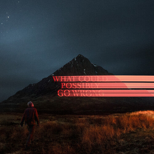 [DAMAGED] Dominic Fike - What Could Possibly Go Wrong