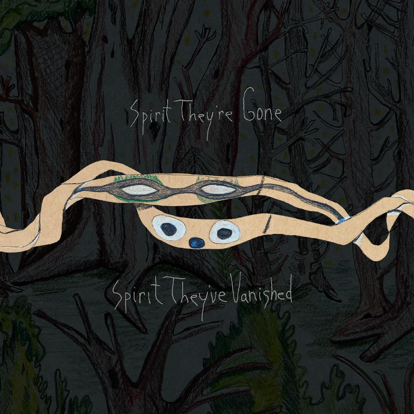 Animal Collective - Spirit They're Gone, Spirit They've Vanished [Grass Green Vinyl]