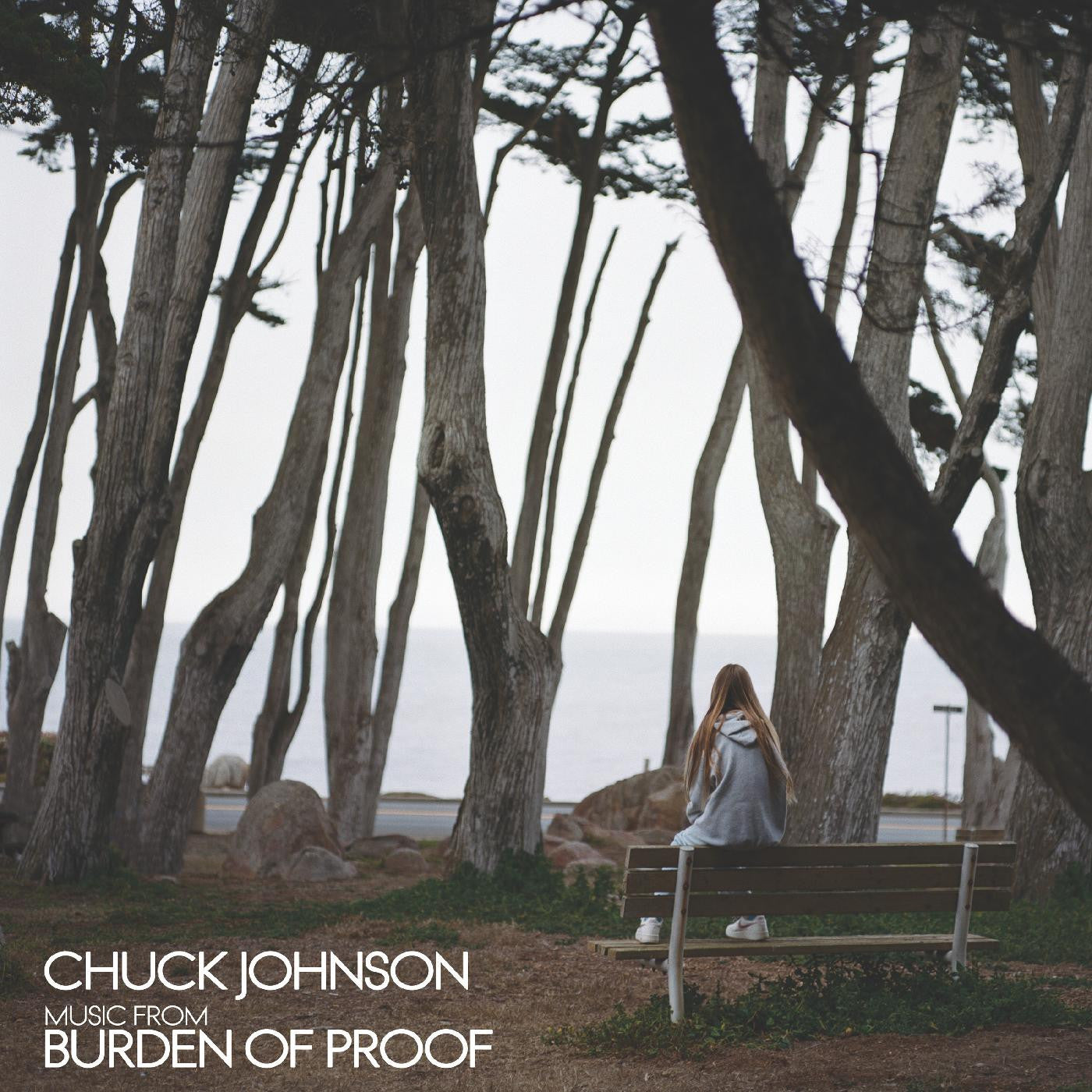 Chuck Johnson - Burden Of Proof